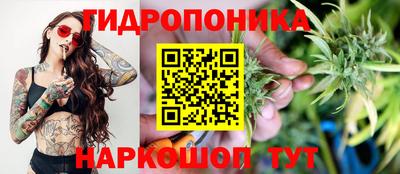 молекула духа Жуковский