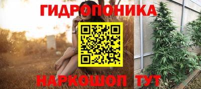 марки lsd Заводоуковск