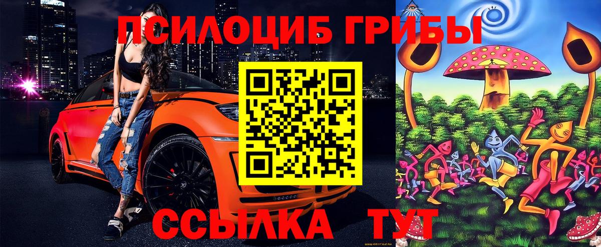 Псилоцибиновые грибы мухоморы  Вход с VPN  Минусинск  Псилоцибиновые грибы Psilocybe 