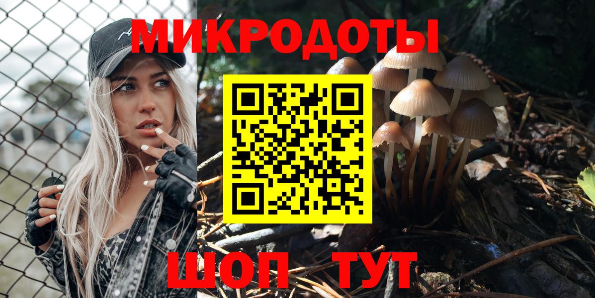 Псилоцибиновые грибы GOLDEN TEACHER Минусинск